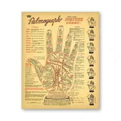 Affiche Lire Dans Les Lignes De La Main