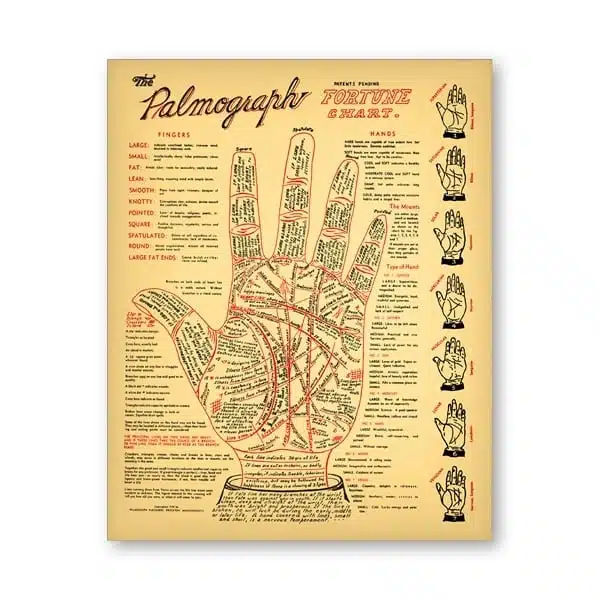 Affiche Lire Dans Les Lignes De La Main 1 Affiche Lire Dans Les Lignes De La Main