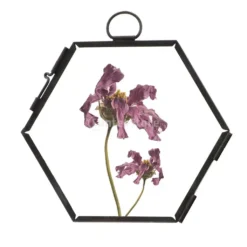 Cadre Photo Vintage à Suspendre En Métal Et Verre Forme Hexagone 10 Cadre Photo Vintage à Suspendre En Métal Et Verre Forme Hexagone -Vintage Soldes cadre photo vintage a suspendre en metal et verre forme hexagone 3