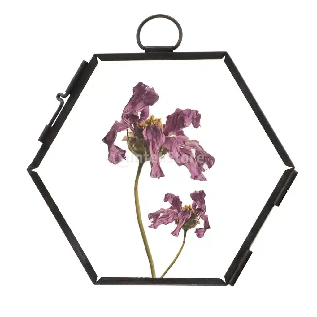 Cadre Photo Vintage à Suspendre En Métal Et Verre Forme Hexagone 4 Cadre Photo Vintage à Suspendre En Métal Et Verre Forme Hexagone – Image 4