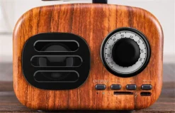 Enceinte Bluetooth Gramophone -Vintage Soldes enceinte bluetooth gramophone 1