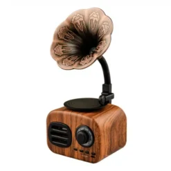 Enceinte Bluetooth Gramophone