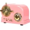 Radio Fm Rétro Enceinte Bluetooth Vintage à Croquer
