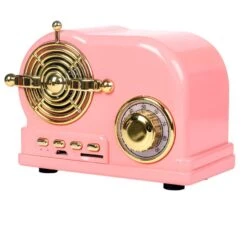 Radio Fm Rétro Enceinte Bluetooth Vintage à Croquer